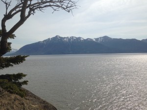 the view from Beluga Point, a mountain over the inlet