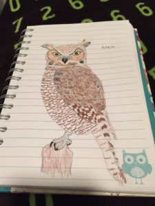 A hand drawing of a great horned owl